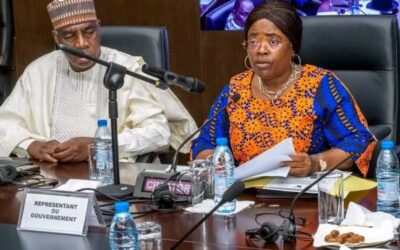 Cameroun : 29,2 milliards de FCFA pour le numérique en 2026, « insuffisant ! » [Attentes de la population et ministères surcotés]