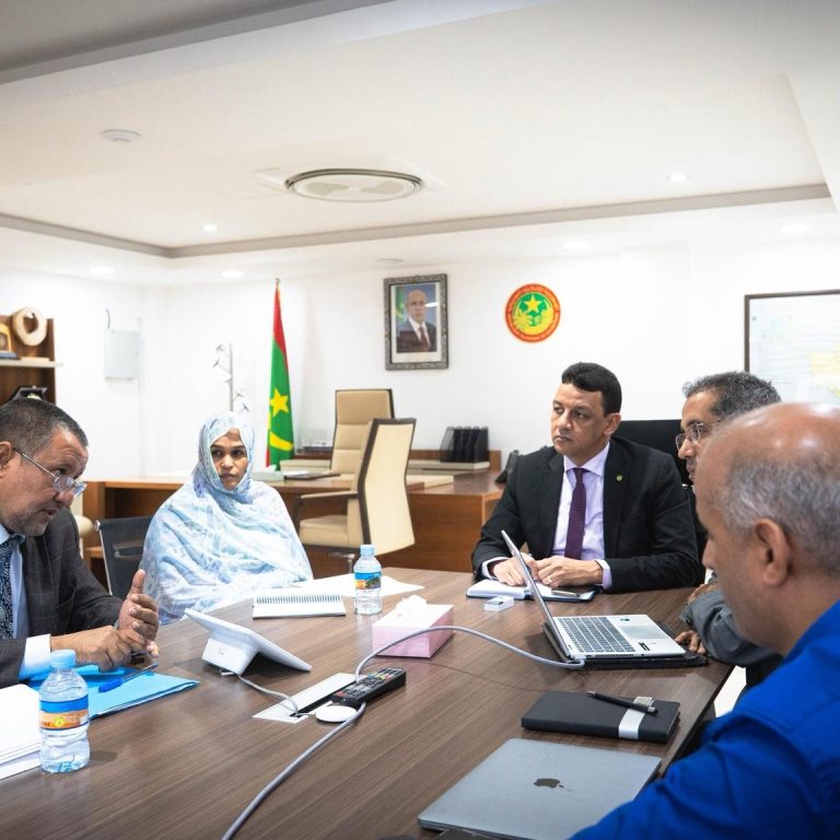 mauritanie-:-le-numerique-au-coeur-de-la-reforme-de-la-commande-publique