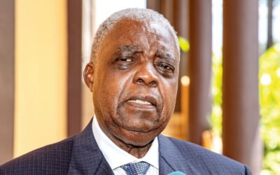 Cameroun : le gouvernement met en ligne l’Agence virtuelle d’information