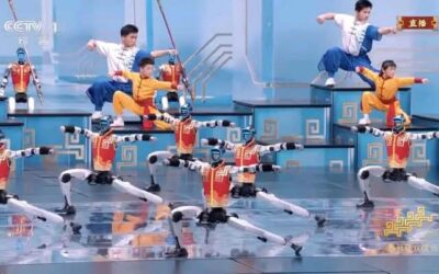 Robotique : Hallucinant ! Des robots chinois esquissent des figures de Kung-Fu avec agilité [vidéo]