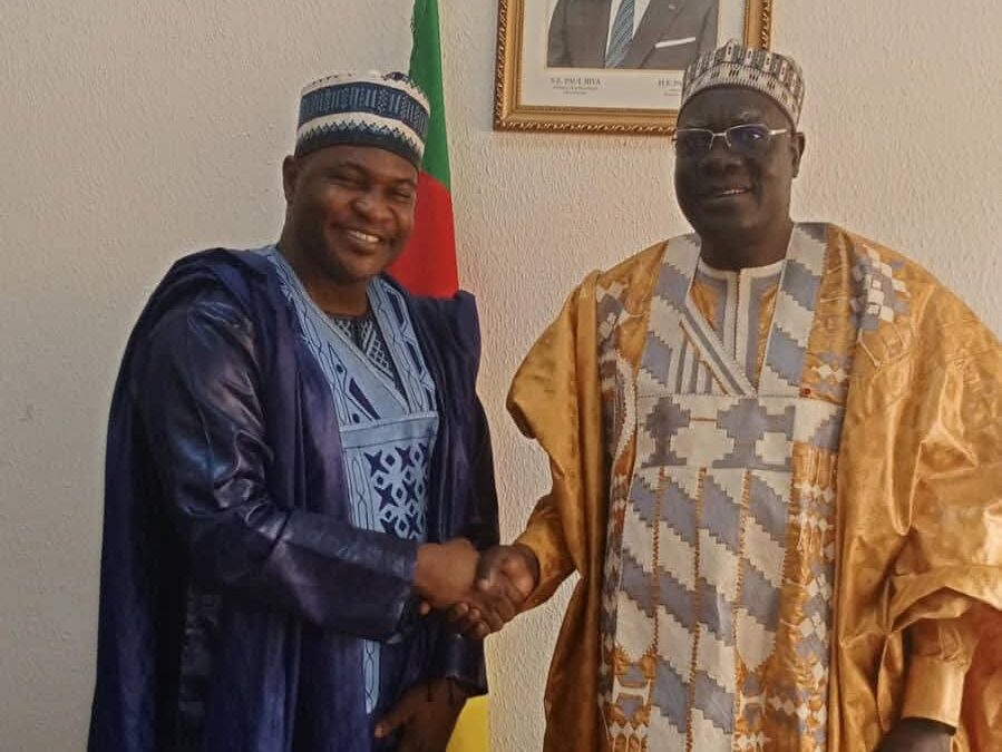 Cameroun: STUDENTZ , l’application qui veut faire ses classes dans le mentorat des CMPJ