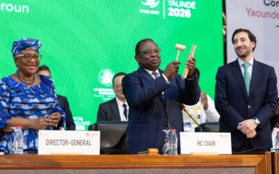 CM14 de l’OMC à Yaoundé : un échec retentissant sur le moratoire du commerce électronique