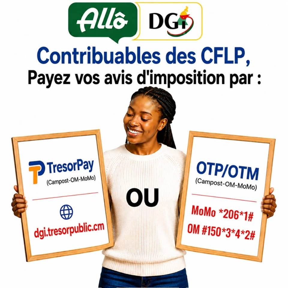 cameroun-:-la-dgi-simplifie-le-paiement-des-avis-d’imposition-via-mtn-momo,-orange-money,-otp-et-tresor-pay